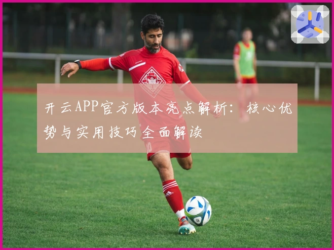 开云APP官方版本亮点解析：核心优势与实用技巧全面解读