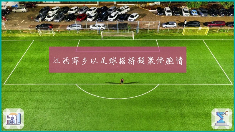 江西萍乡以足球搭桥凝聚侨胞情